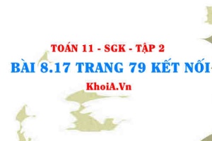 Bài 8.17 trang 79 Toán 11 Kết nối tri thức Tập 2